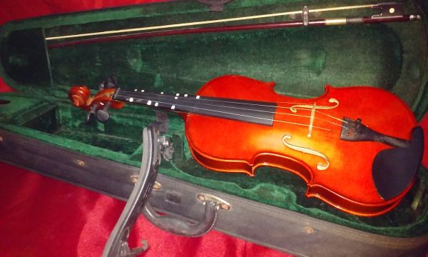 VIOLINO