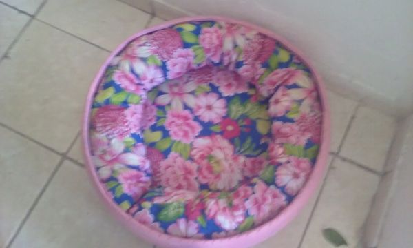 CASINHA DE CACHORRO